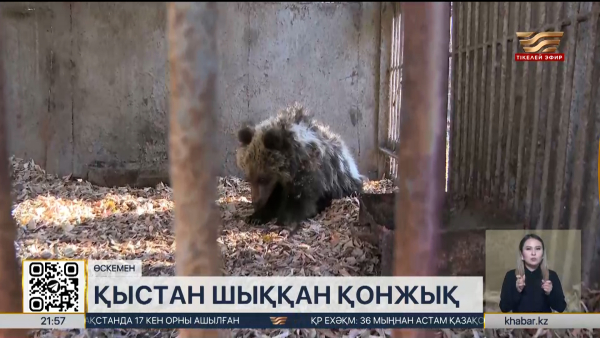 Өскемендегі хайуанаттар бағында «Хабар» есімді қонжық 1 жасқа толды