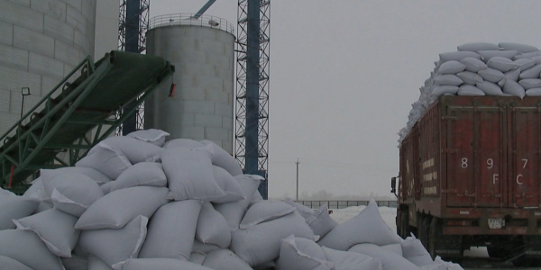 Аграриям ВКО помогут реализовывать сельхозпродукцию за рубежом