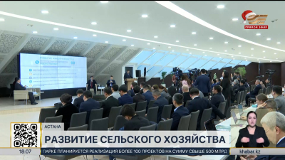 На 6,1% увеличился валовый выпуск продукции сельского хозяйства