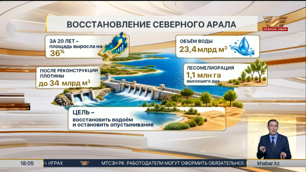 На 36% выросла площадь Северного Арала за 20 лет