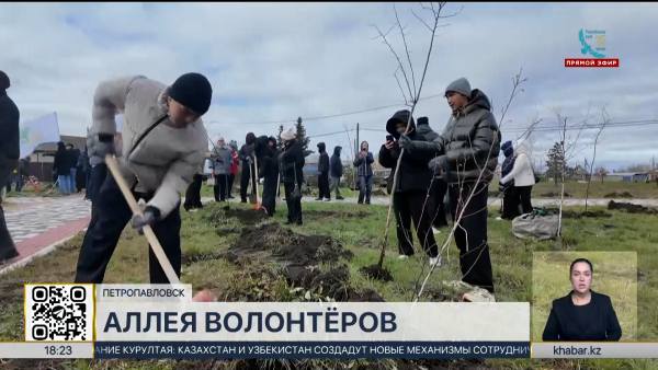 Аллею волонтёров открыли в Петропавловске