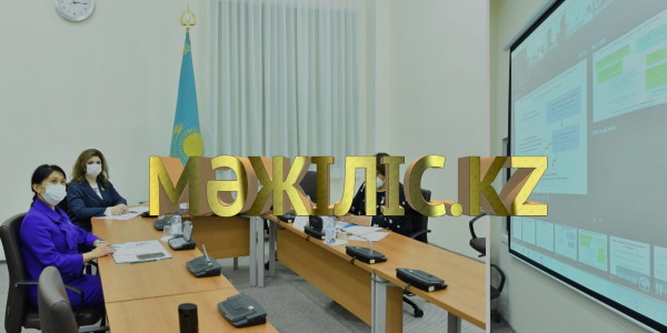 Профилактика семейно-бытового насилия. «Мәжіліс.kz»