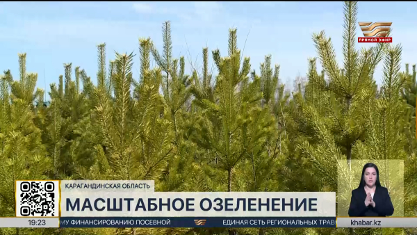 К масштабному озеленению готовятся в Карагандинской области