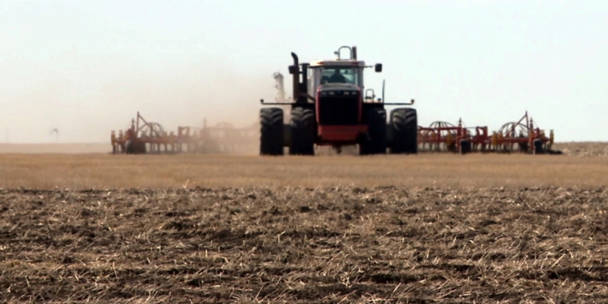 Аграрии Северного Казахстана в качестве субсидий получат больше 40 млрд тенге