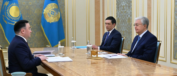 Мемлекет басшысы Жоғарғы Сот төрағасын қабылдады