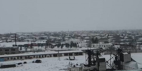 Серый импорт российского зерна раскрыли в Павлодарской области