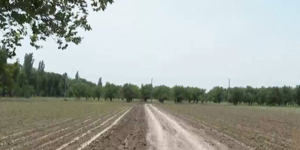 2 тыс. гектаров земли вернули пайщикам Турар Рыскуловского района