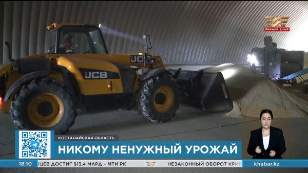 Реализовать пшеницу не могут фермеры Костанайской области