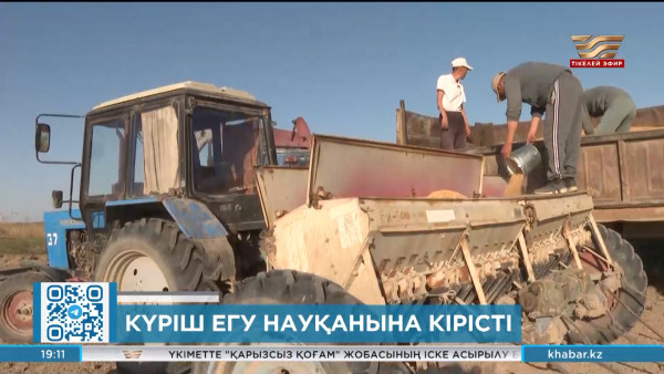 Алматы облысында күріш егу науқаны басталды
