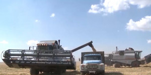 40% урожая зерновых не собрано в Актюбинской области
