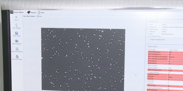 В рамках ОСМС актюбинцы смогут стать родителями