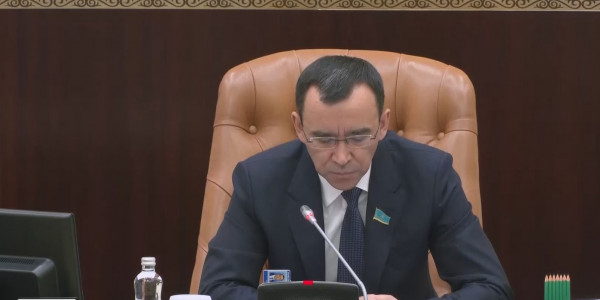 Сенат: жер қатынастары цифрланады