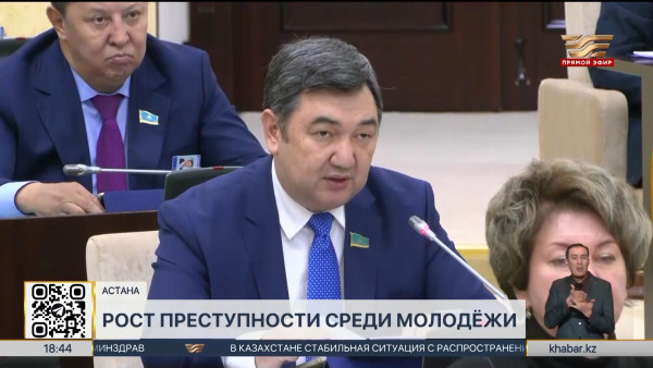 Сенаторы обсудили проблему роста преступности среди молодёжи