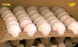 &laquo;Ас арқау&raquo;. Отандық құс өндірісі