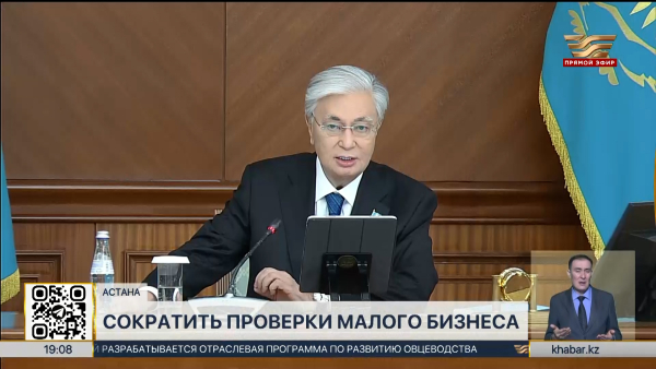 Президент призвал сократить проверки малого бизнеса в РК