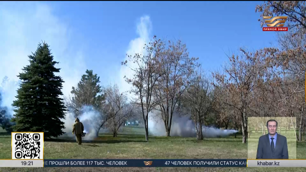 В Алматы началась противоклещевая обработка