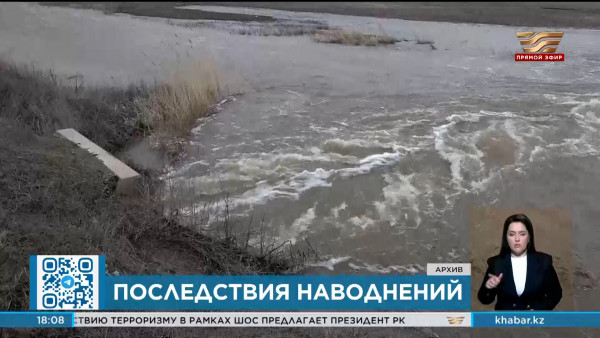 Депутаты раскритиковали правительство и акиматы за ситуацию с паводками