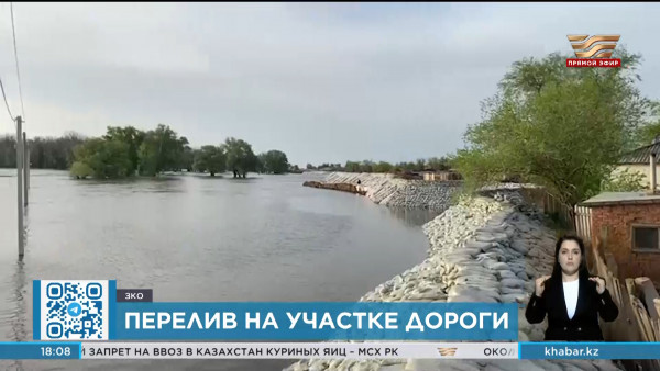 Подвоз продуктов питания организован в села ЗКО