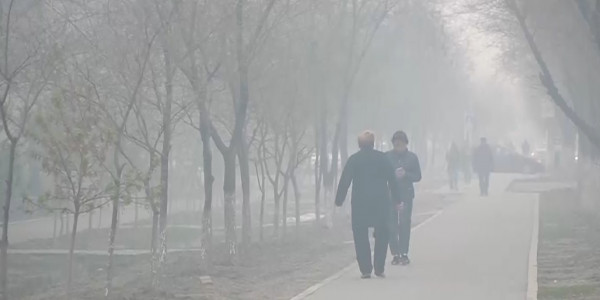 Смог от природного пожара не отпускает Атырау уже четвертый день