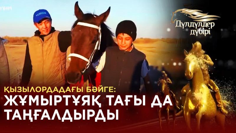 Қызылордадағы бәйге: Жұмыртұяқ тағы да таңғалдырды. «Дүлдүлдер дүбірі». Бәйге.
