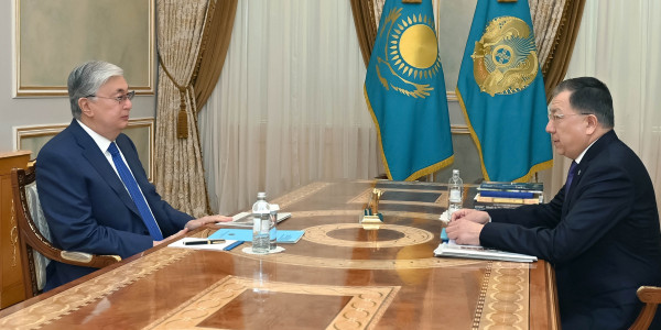 Глава государства принял ректора КазНУ имени аль-Фараби Жансеита Туймебаева