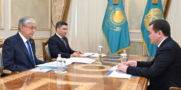 Глава государства принял акима Астаны Жениса Касымбека