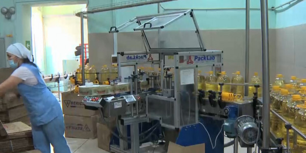 ШҚО-да күнбағыс майының бағасы 20% қымбаттады