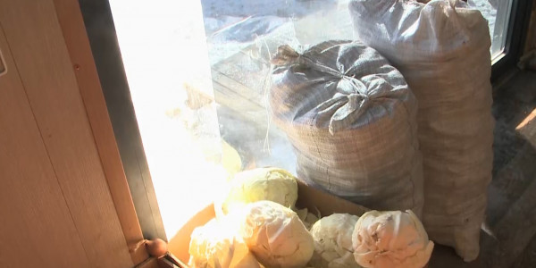 Продукции стабфонда хватит до мая на востоке Казахстана