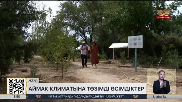 Ақтаудағы ботаникалық бақта 1300 өсімдік түрі өсіп жатыр