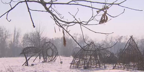 Студенты-дизайнеры украсили территорию Главного Ботанического сада Алматы