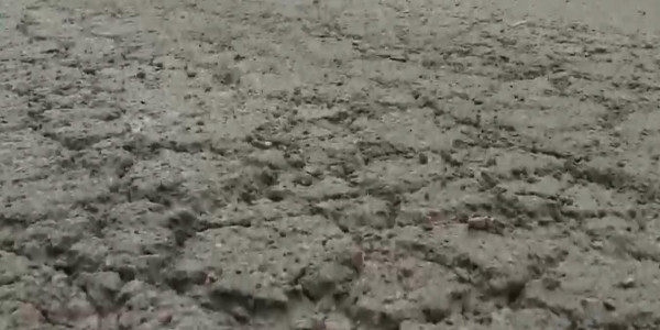 Қызылордада бес ай бұрын салынған асфальттың тас-талқаны шыққан