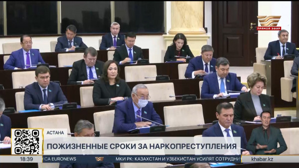 Закон о смягчении наказания для наркокурьеров одобрили в Сенате