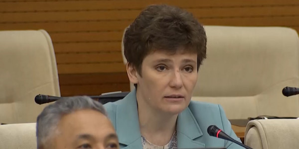 Сразу несколько госпрограмм предлагают пересмотреть мажилисмены