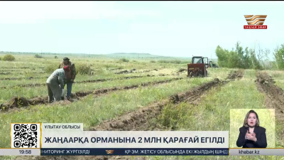 Ұлытауда орман алқабы ұлғайды