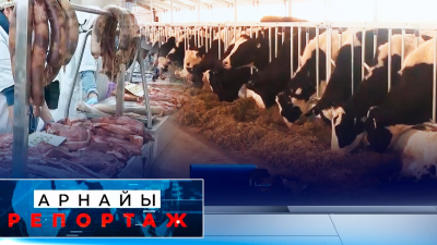 Ішкі нарықты етпен қамту | Арнайы репортаж