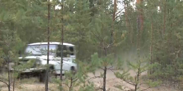 Миллиард тенге потратят в Павлодарской области на охрану леса