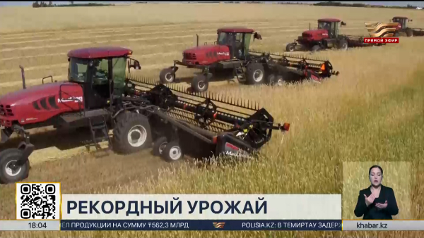 Рекордный урожай зерна собрали в Казахстане