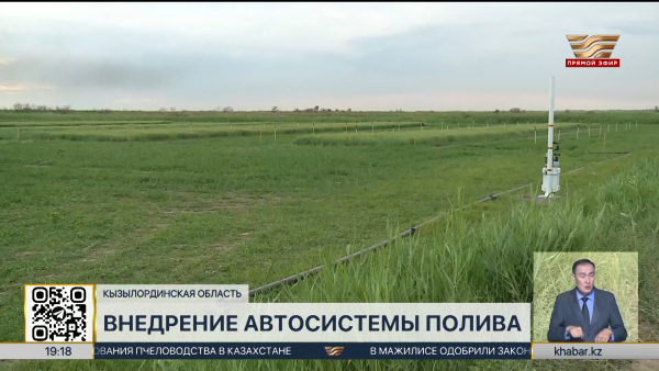 Автоматическую систему полива внедряют в Кызылординской области