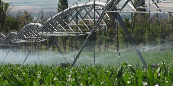 &laquo;Ас арқау&raquo;. Цифрлық технологиялар аграрлы салаға