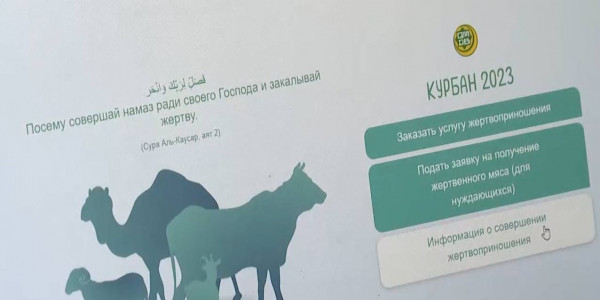 Как выглядит баран за 300 тысяч тенге?