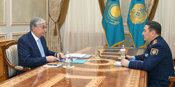 Глава государства принял министра внутренних дел Марата Ахметжанова