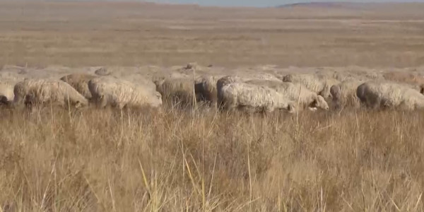 Развитие малого и среднего бизнеса остается главной задачей Казахстана