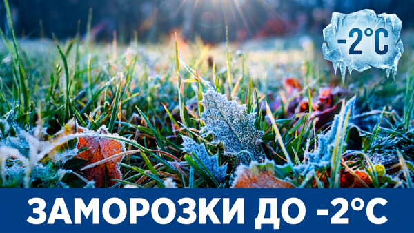 Штормовое предупреждение: дожди, грозы и пыльные бури