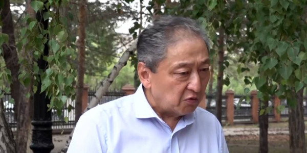 Каракурты появились в Павлодарской области