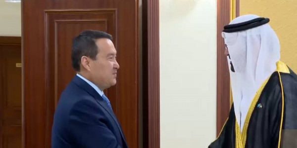 Вопросы сотрудничества обсудили глава кабмина с Министром по делам кабинета министров ОАЭ