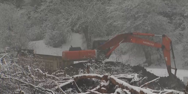 Идет расследование по факту незаконной вырубки деревьев при строительстве плотины