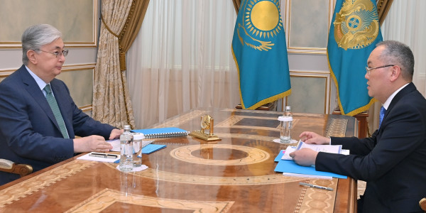 Мемлекет басшысы Қаржылық мониторинг агенттігінің төрағасы Жанат Элимановты қабылдады