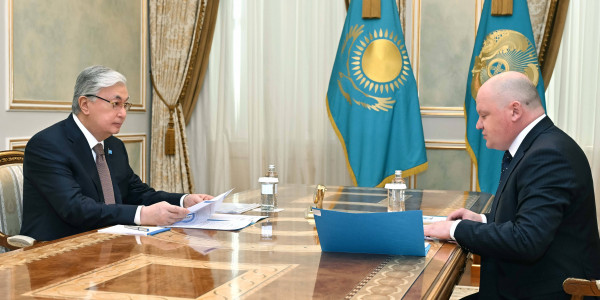 Глава государства принял председателя Агентства по финансовому мониторингу Дмитрия Малахова