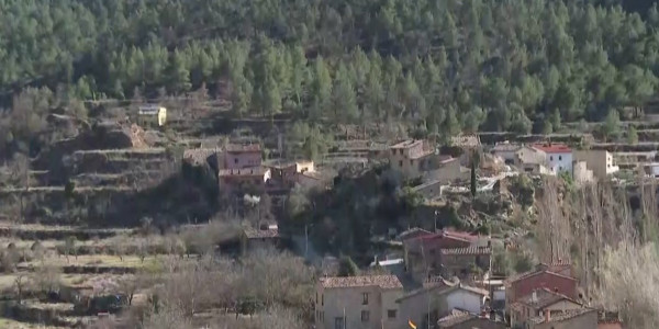 Сводка мировых новостей