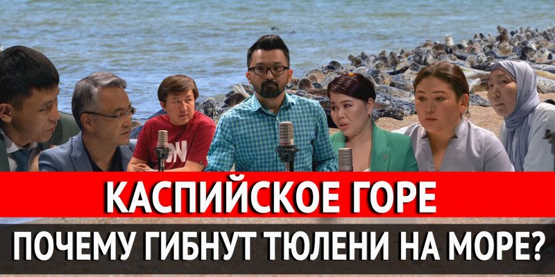 Каспийское горе. «Отдел журналистских расследований»